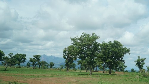 Legal-processes-for-buying-land