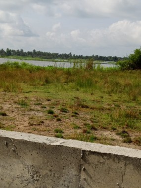 5 acres(30plots) of land